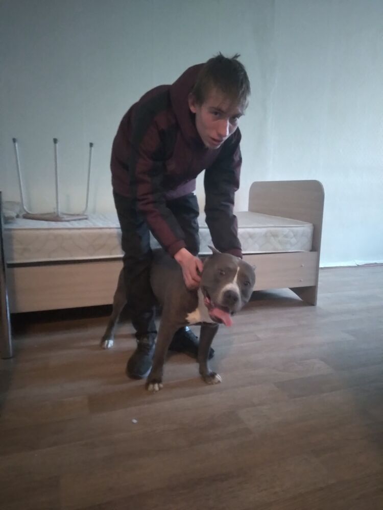 ���������� �������, ���� ����� �������, 23 ����, ������������ ��� ������, ����� � ���������, c�������� ���������