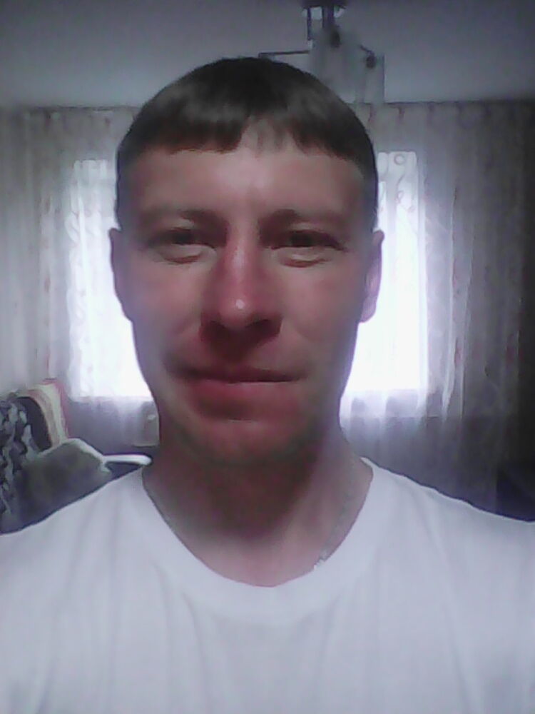  9976646  , 41 ,    