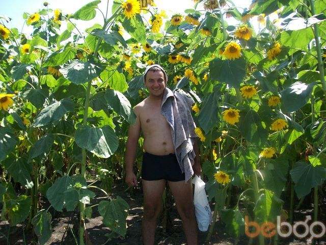 ���������� �������, ���� ������� HIKOLAS, 42 ����, ������������ 