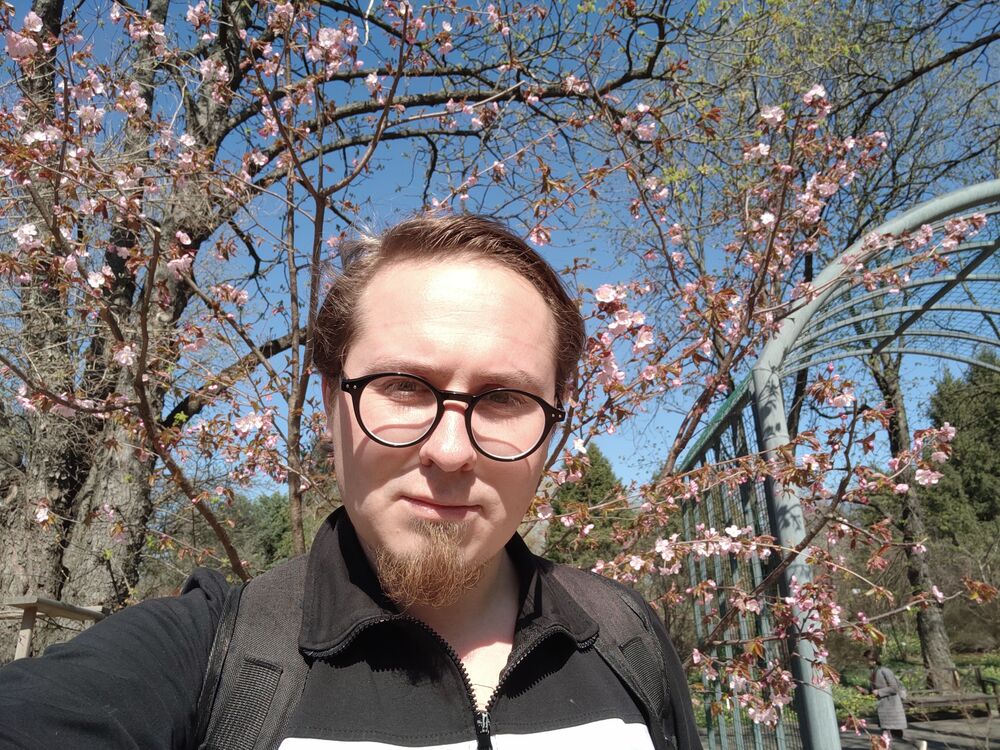 ���������� ������, ���� ������� �������, 36 ���, ������������ ��� ������, ����� � ���������, c�������� ���������