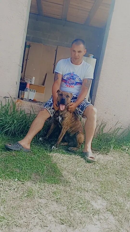 ���������� �������, ���� ������� ��������, 37 ���, ������������ ��� ������, ����� � ���������, ���������