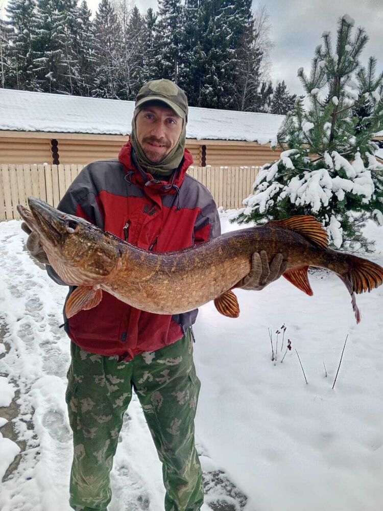 ���� 52363676 ������� �����, 34 ����, ���� ���������� � �����