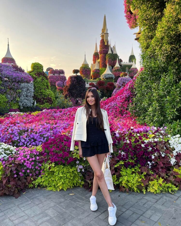 ���������� ������, ���� ������� ���, 26 ���, ������������ ��� ������, ����� � ���������