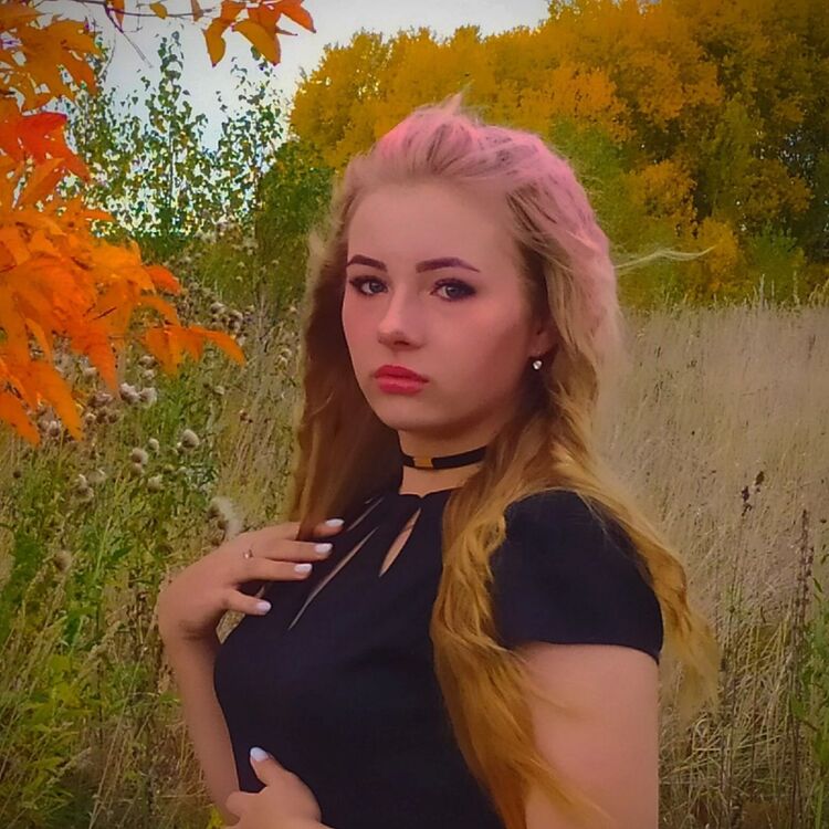  27116726  , 24 ,    -