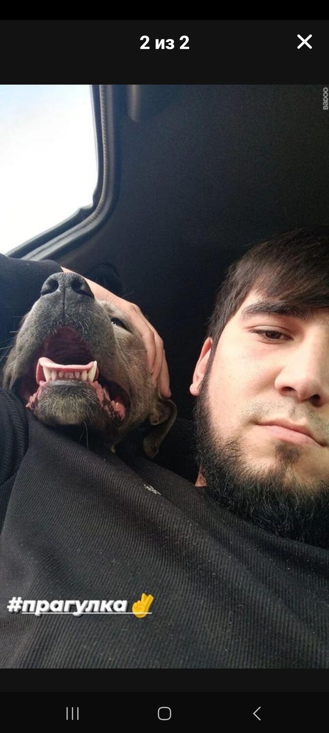 ���� 47429126 ����� Nodirbek, 25 ���, ���� ���������� � ��������