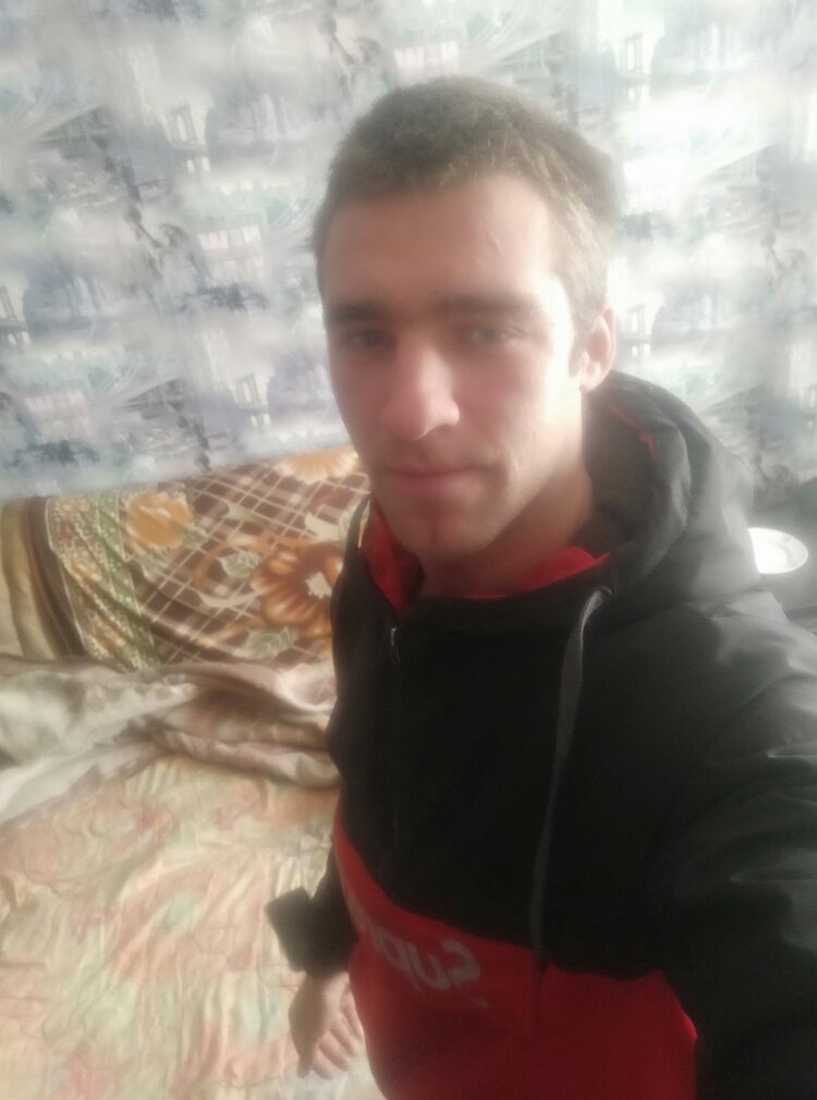  29527266  , 24 ,    