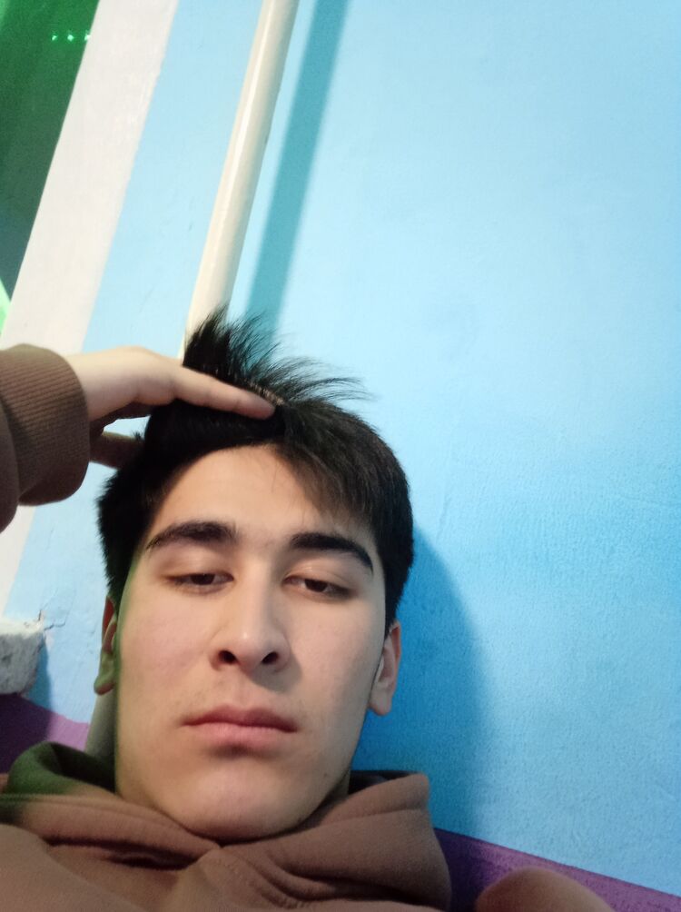 ���� 40178936 ����� Sulik, 23 ����, ���� ���������� � �������