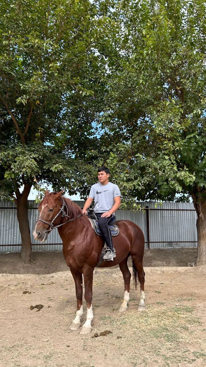 ���������� ������, ���� ������� ����������, 23 ����, ������������ ��� ������, ����� � ���������