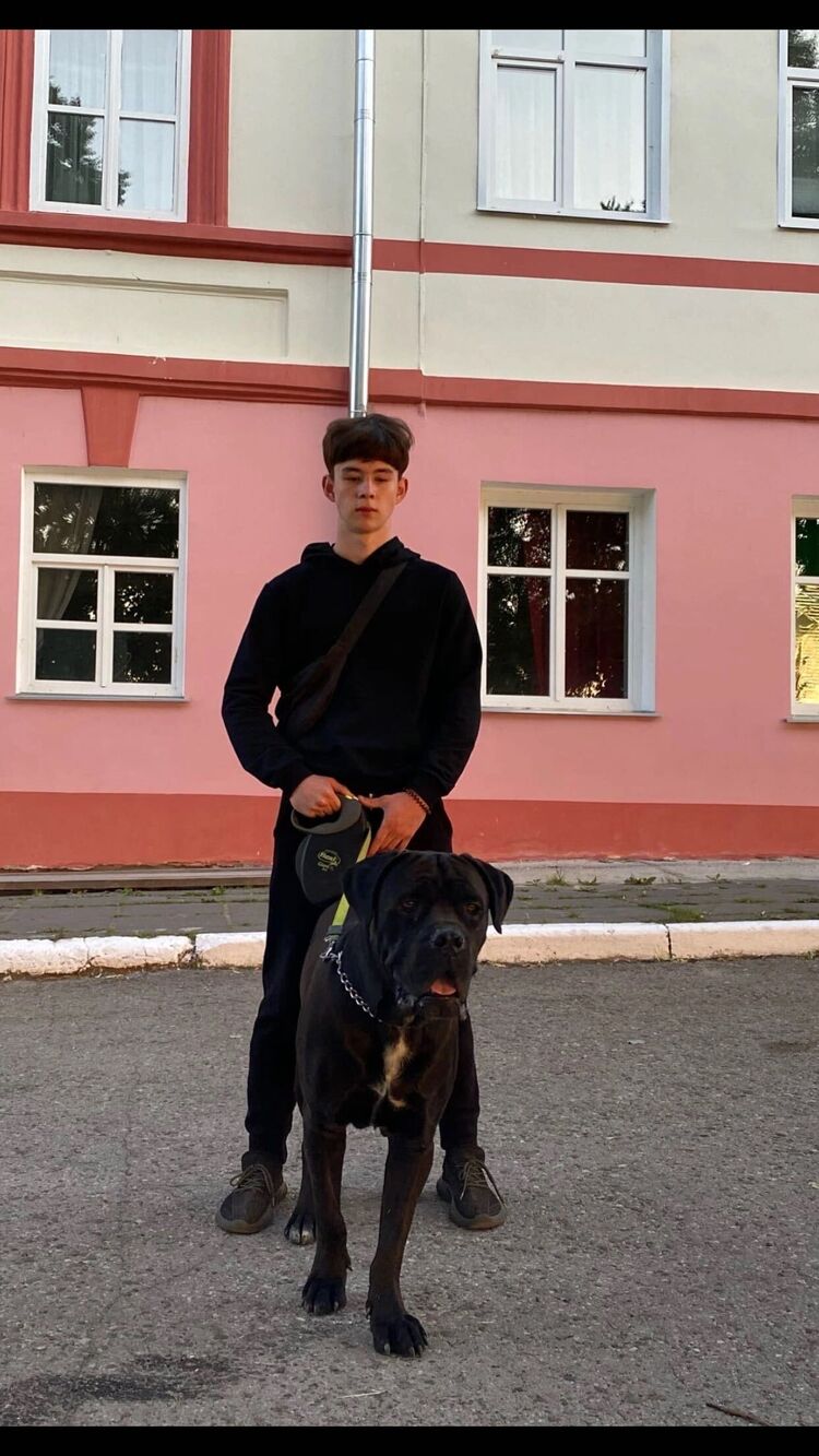 ���� 31163556 ����� ����, 21 ���, ���� ���������� � ����������