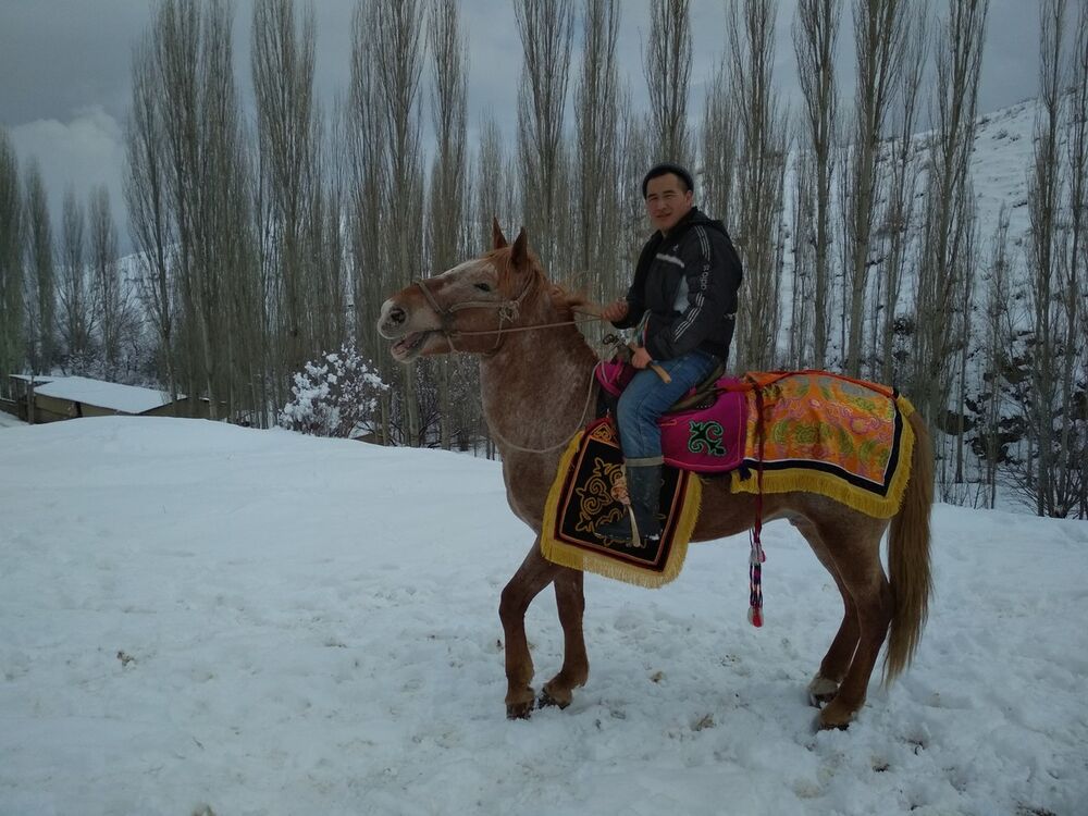 ���� 11564096 ������� ���, 34 ����, ���� ���������� � �������