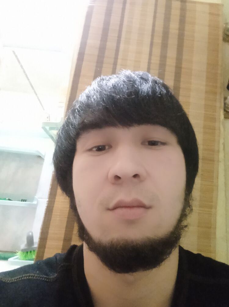  31645606  , 29 ,    