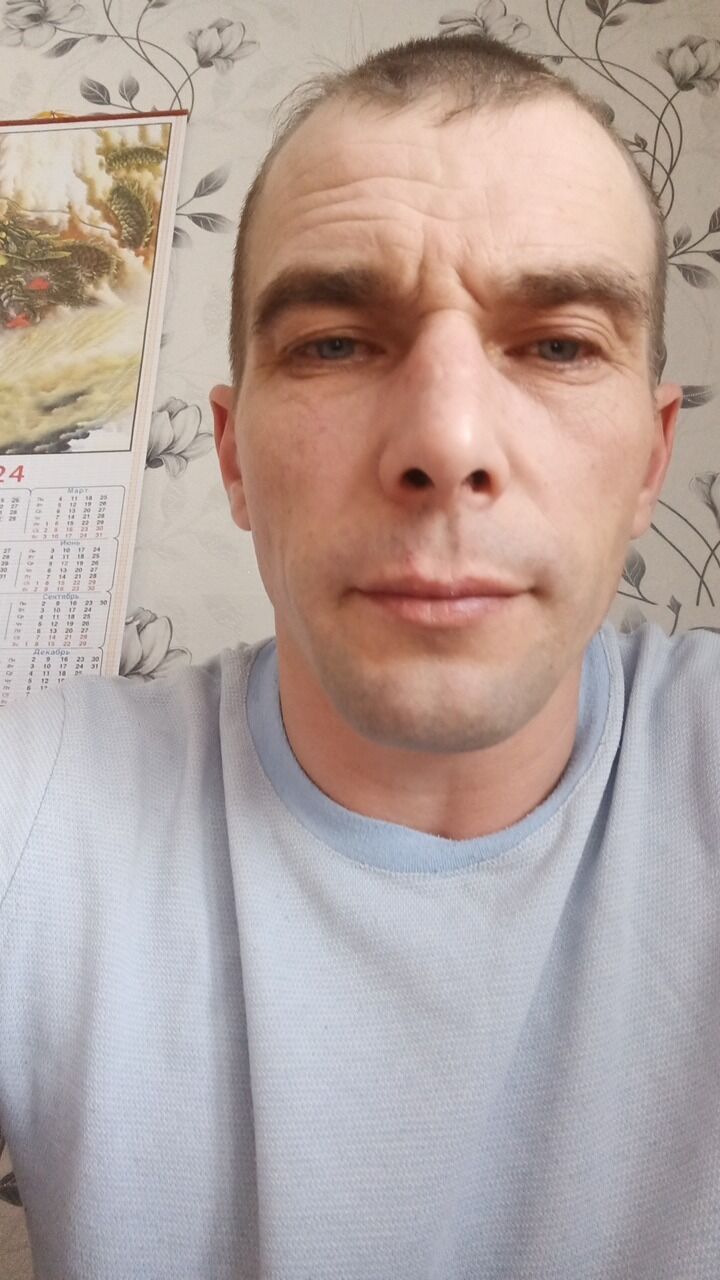 ���� 41533206 ������� �������, 41 ���, ���� ���������� � �����