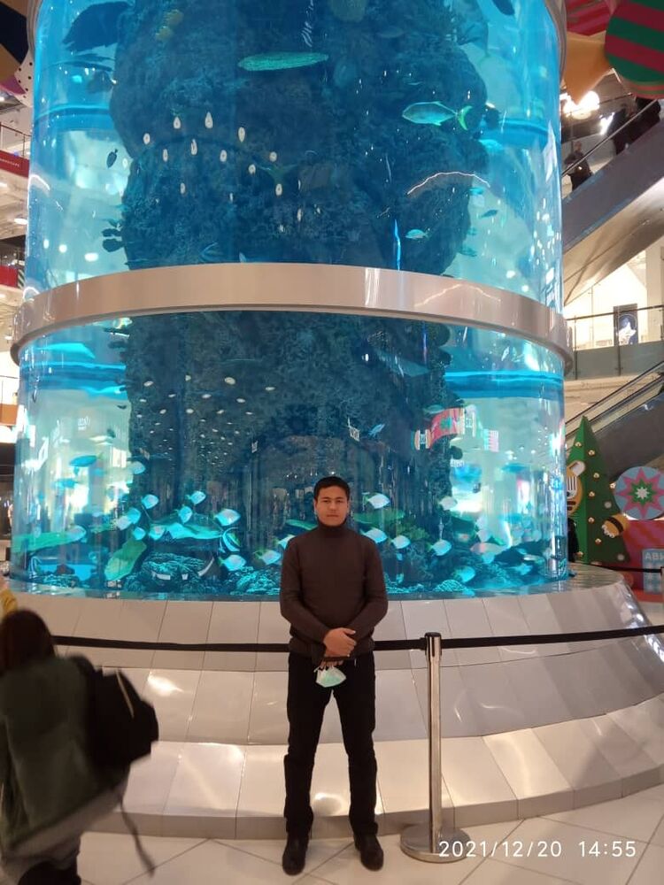 ���������� ������, ���� ������� �����, 33 ����, ������������ ��� ������, ����� � ���������