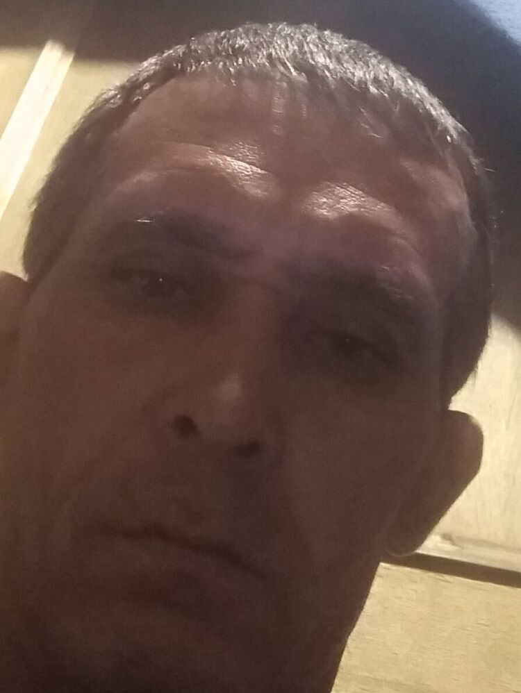 24229096  , 49 ,     