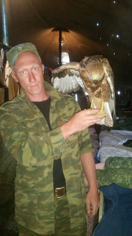 ���������� �����������, ���� ������� ����, 38 ���, ������������ ��� ������