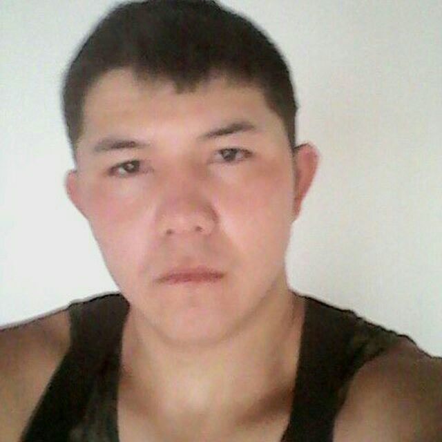 ���� 9230696 ������� Tolqin, 32 ����, ���� ���������� � ������ ���������