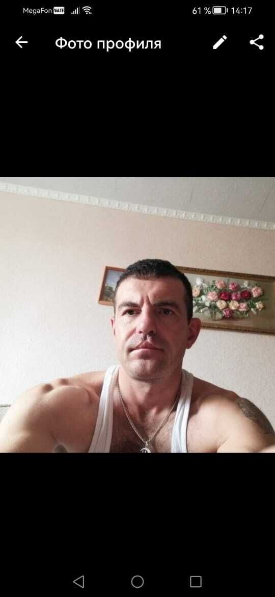  33891626  , 41 ,    