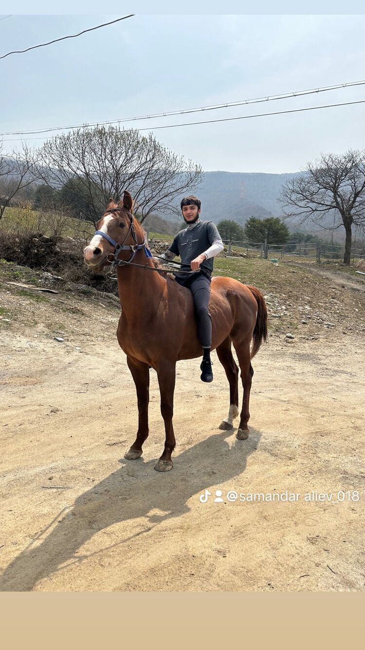 Kyongju,   Samandar, 22 ,   ,   