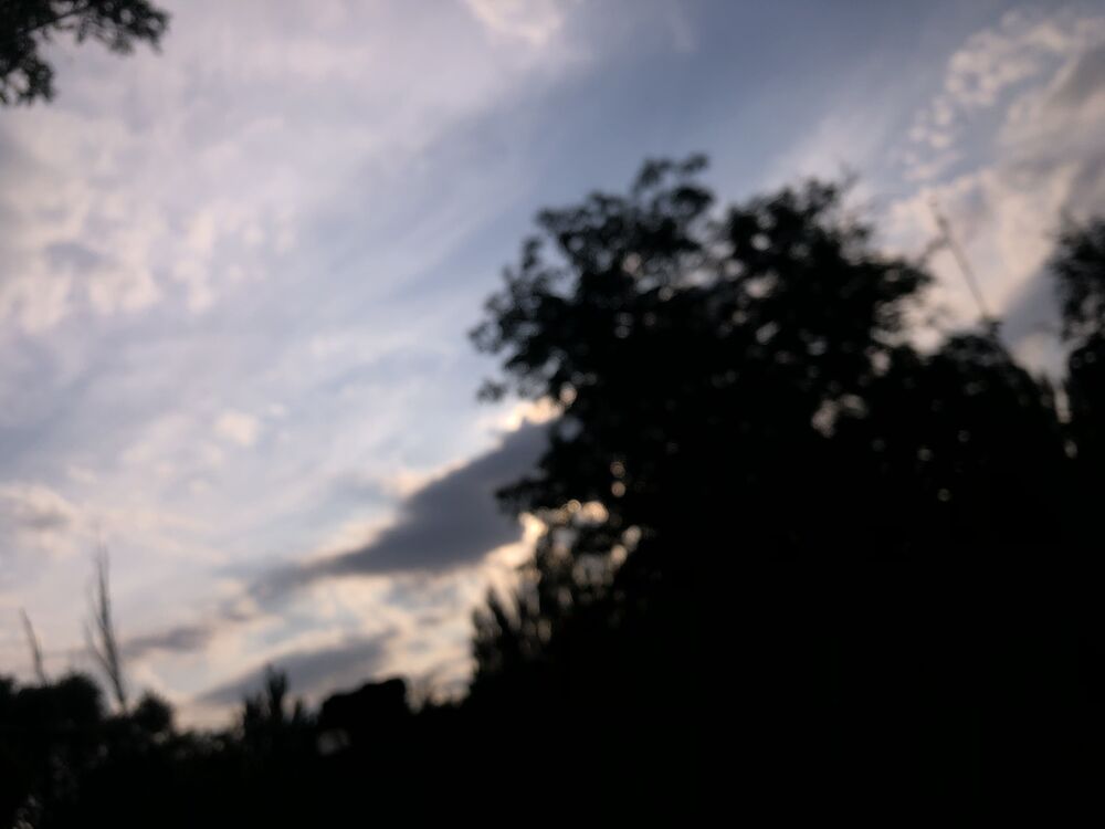 ���� 40559986 ������� ����, 27 ���, ���� ���������� � �������