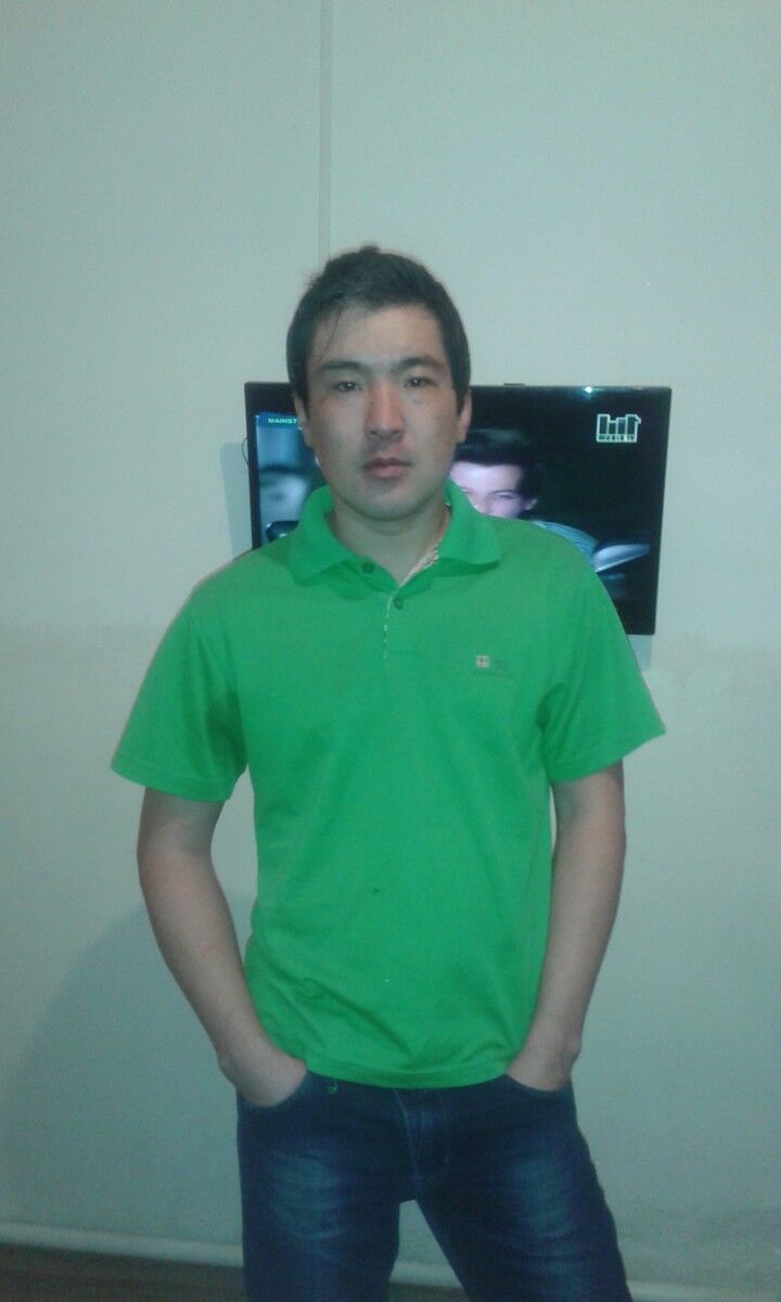 ���� 4185686 ������� Taz, 40 ���, ���� ���������� � ������