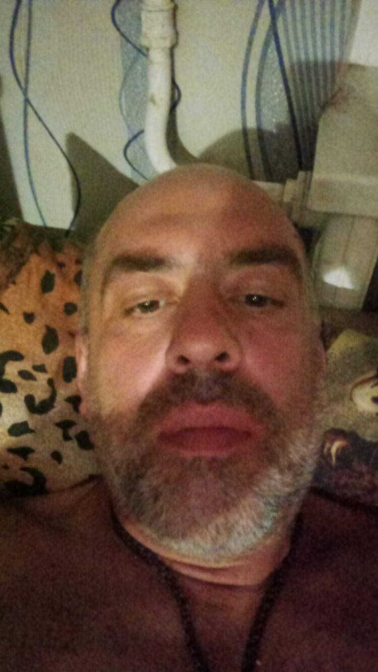 45450866  , 47 ,    