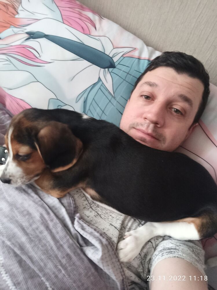 ���������� �������, ���� ������� �������, 42 ����, ������������ ��� ������, ����� � ���������, c�������� ���������, ���������