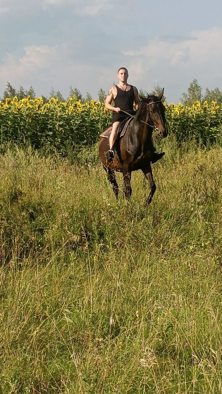 ���� 55464476 ������� ������, 29 ���, ���� ���������� � ����������