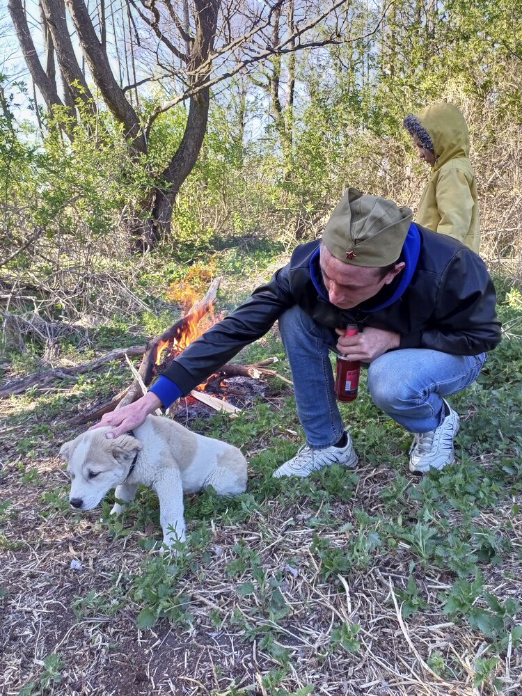 ���������� �����������, ���� ������� ����, 34 ����, ������������ ��� ������, ����� � ���������