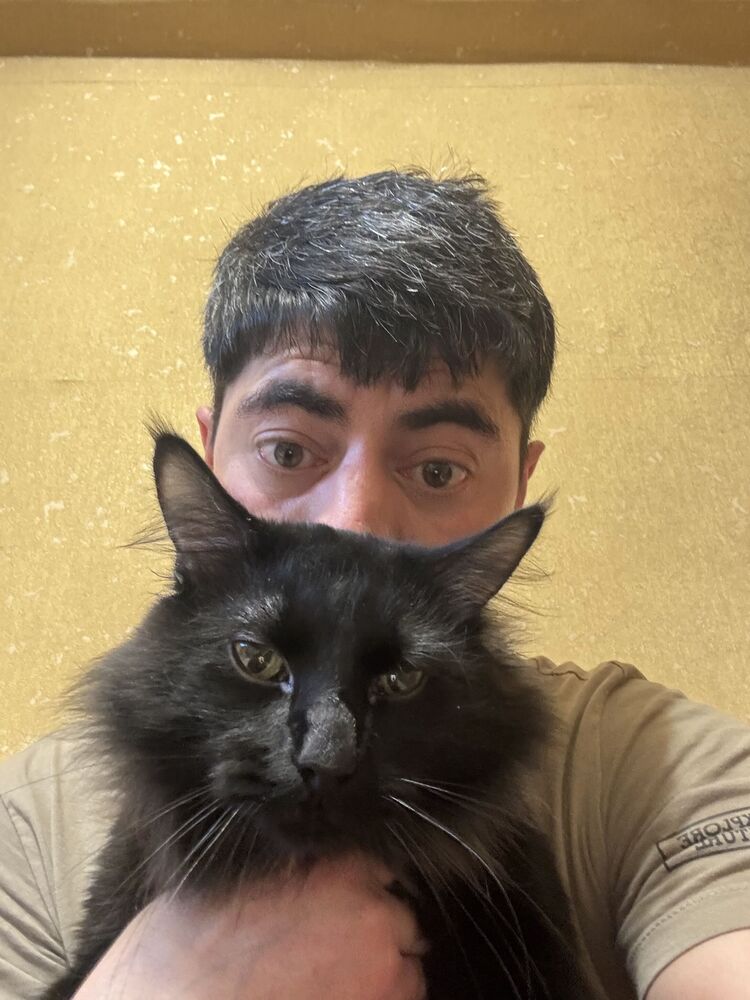  ,   , 38 ,   ,   , c , 