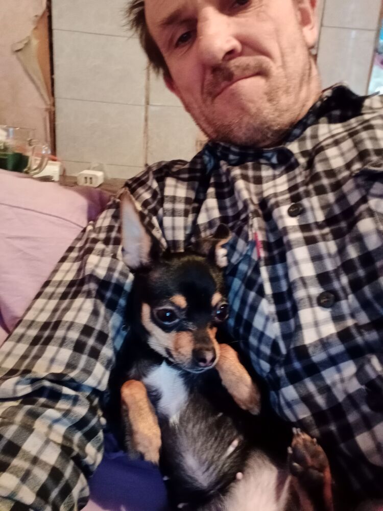 ,   , 48 ,   ,   