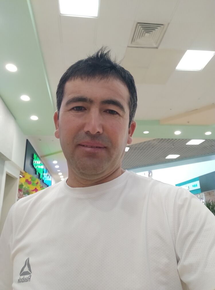  50514216  , 37 ,    