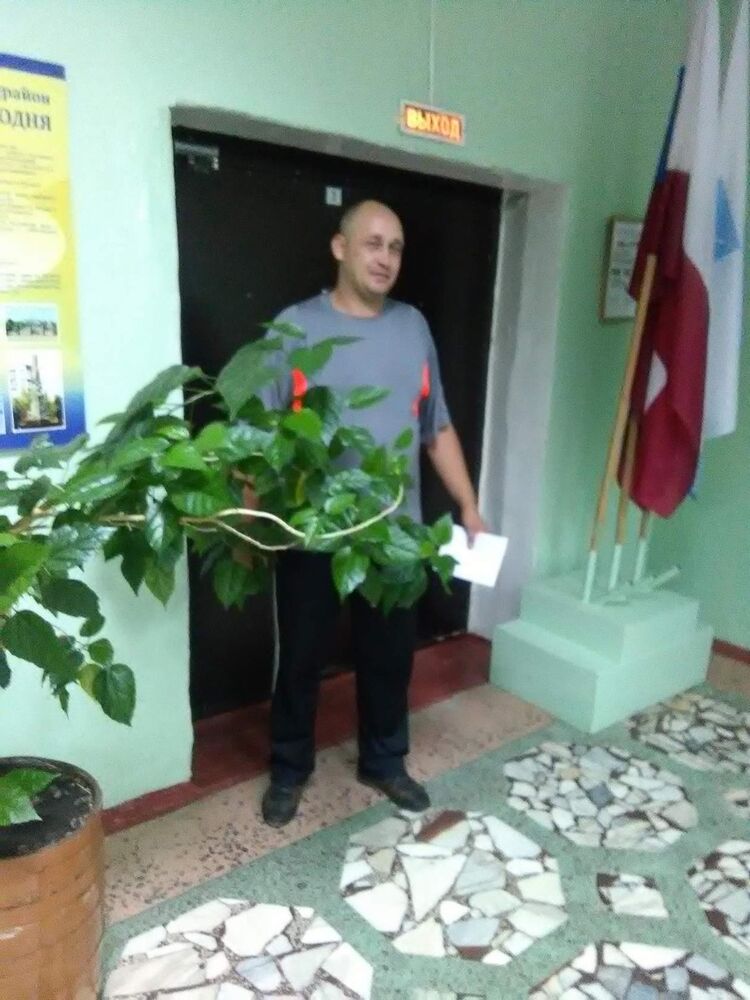  ,   , 44 ,   ,   , c 