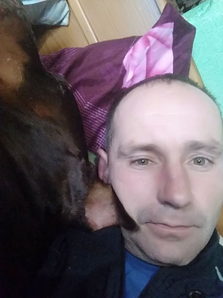  39596316   , 43 ,    