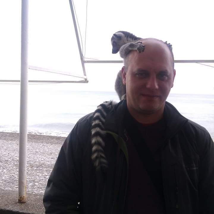 ���� 44187306 ������� ����, 44 ����, ���� ���������� � �������-��-����