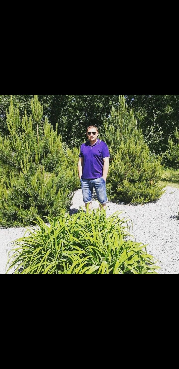  -,   , 43 ,   ,   