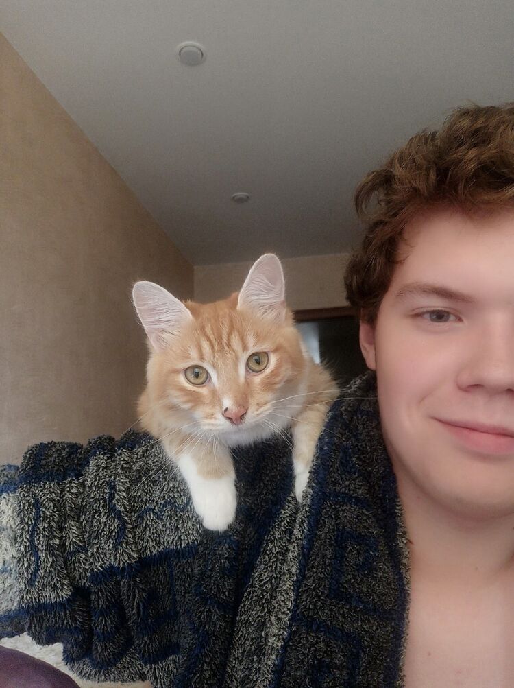 ���� 25363136 ����� ����, 25 ���, ���� ���������� � ������