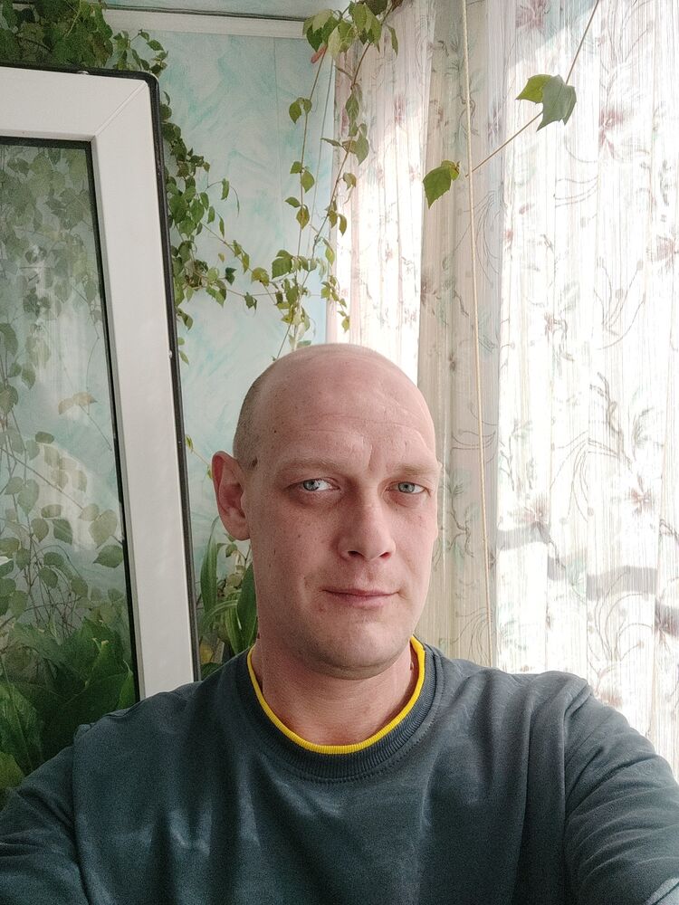  50734366  , 41 ,    