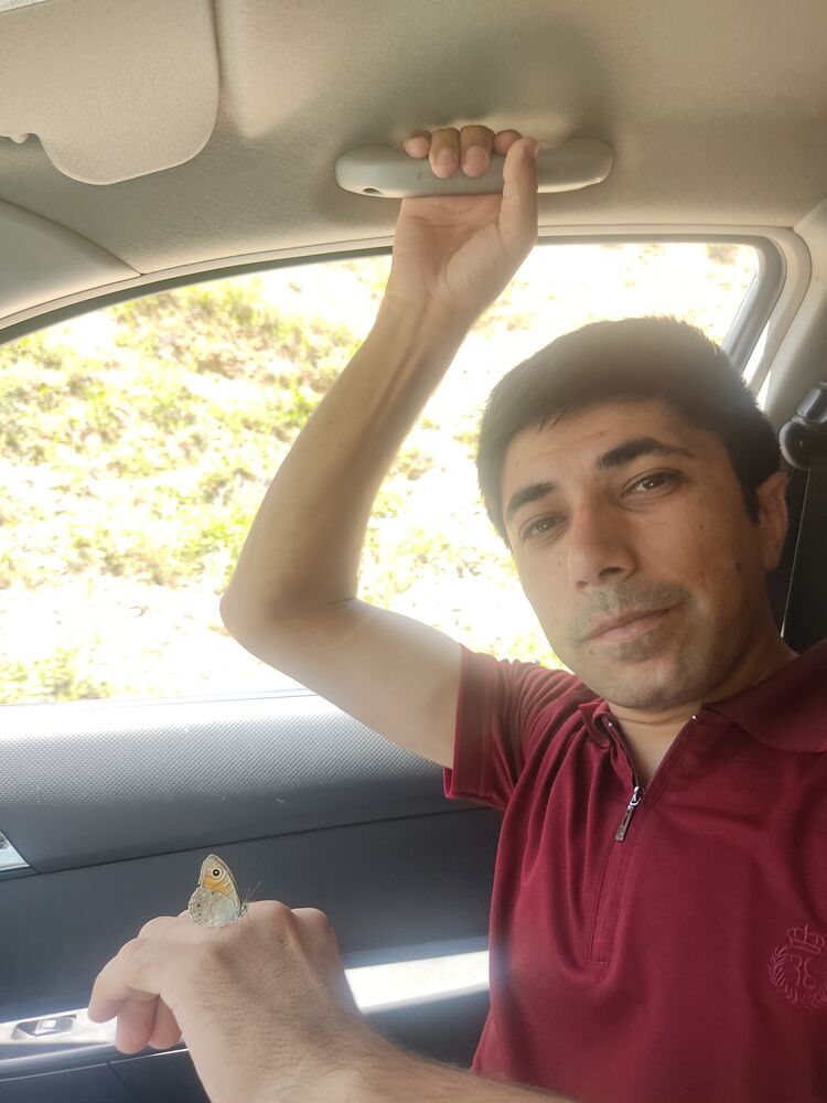 ���������� ������, ���� ������� ���, 33 ����, ������������ ��� ������, ����� � ���������