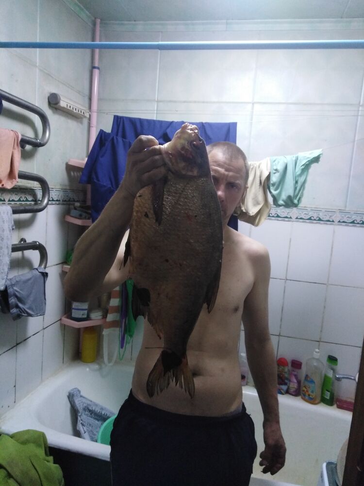 ���������� ��������, ���� ������� ���, 40 ���, ������������ ��� ������, ����� � ���������