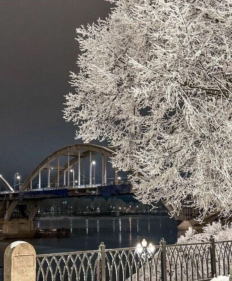  49630556  Irina, 52 ,    