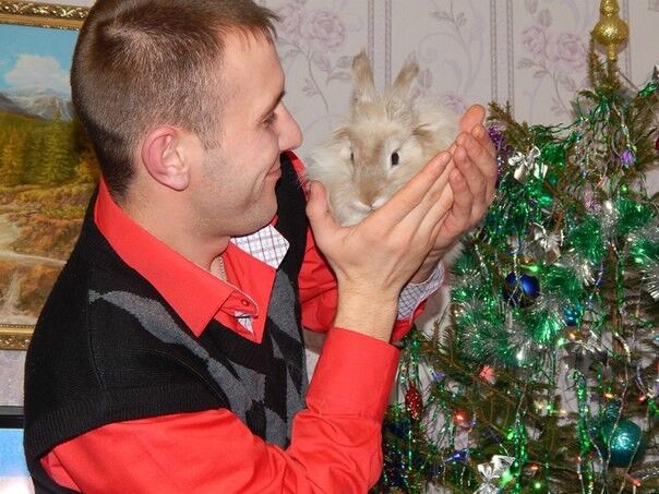 ���������� �����, ���� ������� �����, 36 ���, ������������ ��� ������, ����� � ���������, c�������� ���������