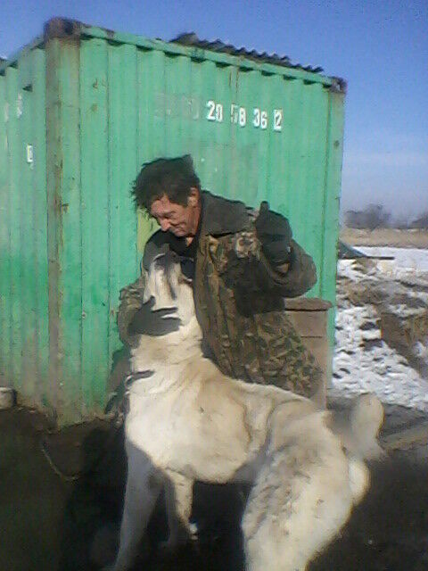 ���������� ������, ���� ������� ����, 58 ���, ������������ ��� ����� � ���������, c�������� ���������