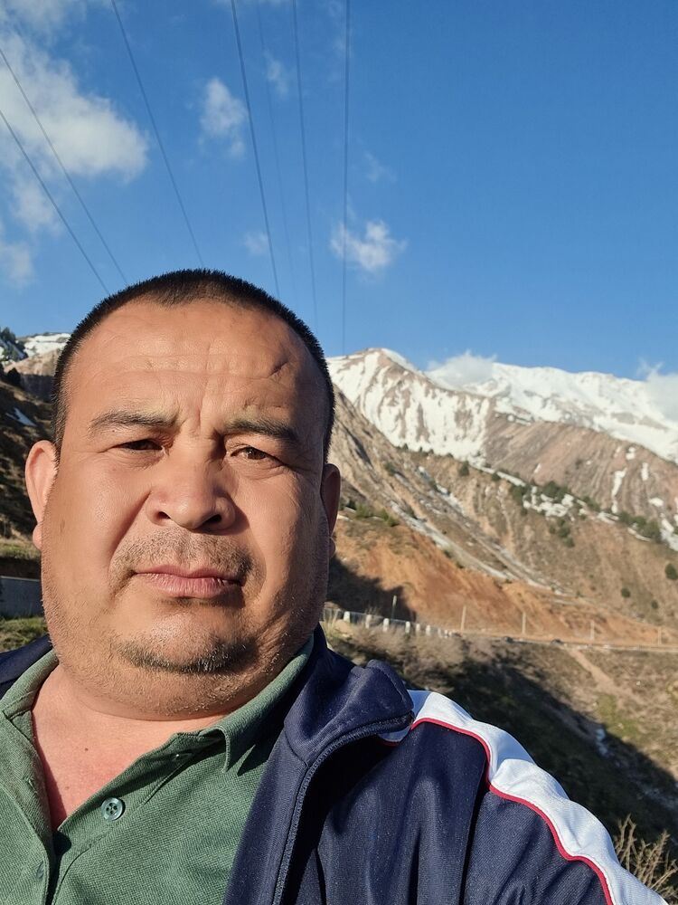  44212536   , 47 ,    