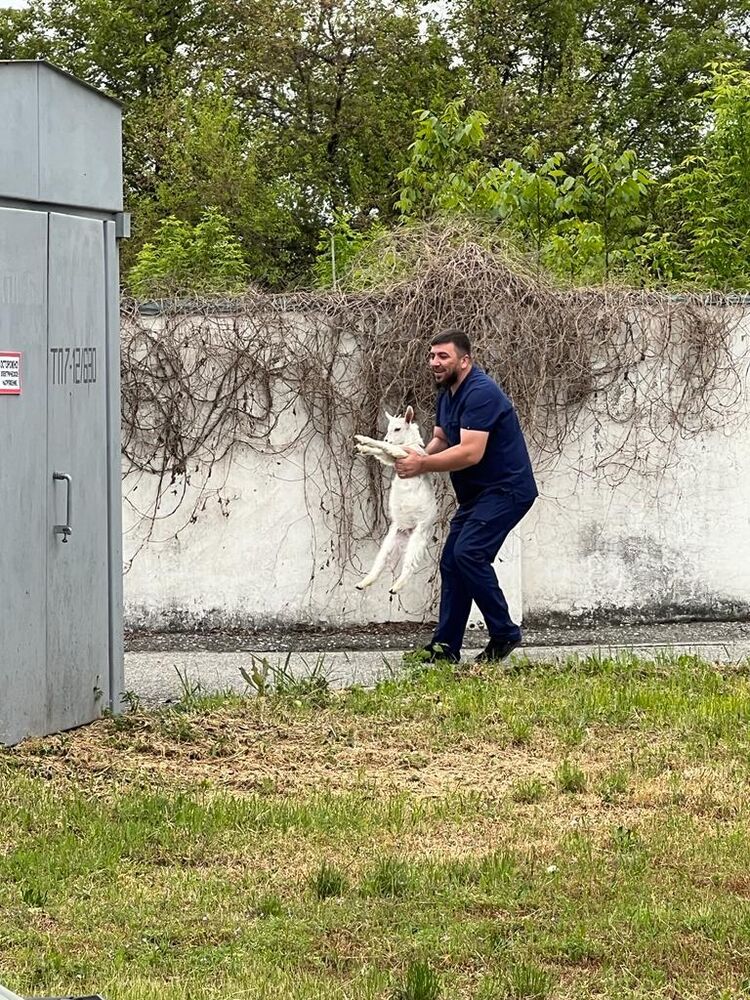 ���� 27891646 ������� ����, 38 ���, ���� ���������� � �������