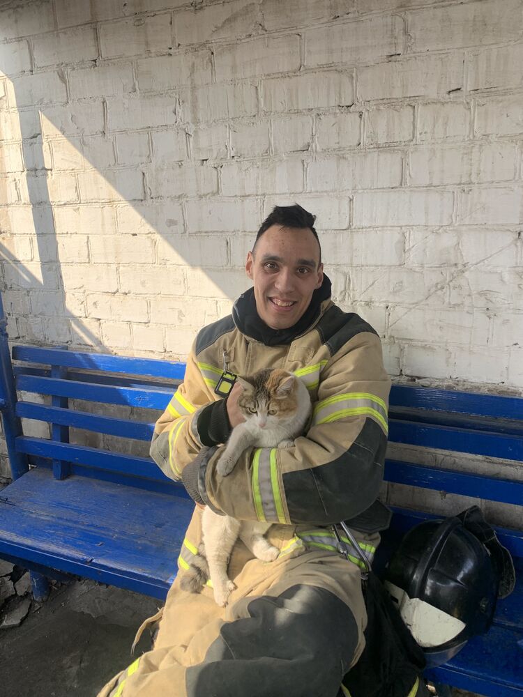 ���� 42252716 ������� �����, 27 ���, ���� ���������� � ������