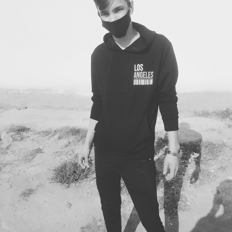  21650836  , 24 ,    