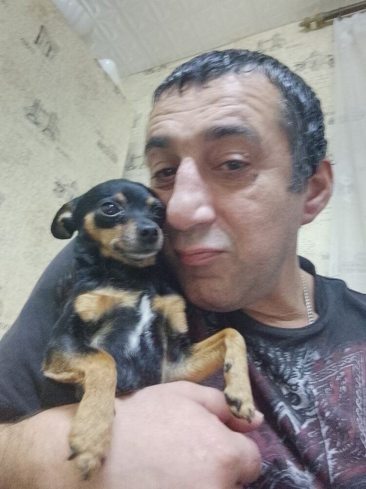  31665416  , 54 ,    