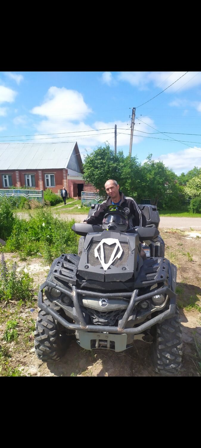 ���� 55133936 ������� �������, 46 ���, ���� ���������� � �������