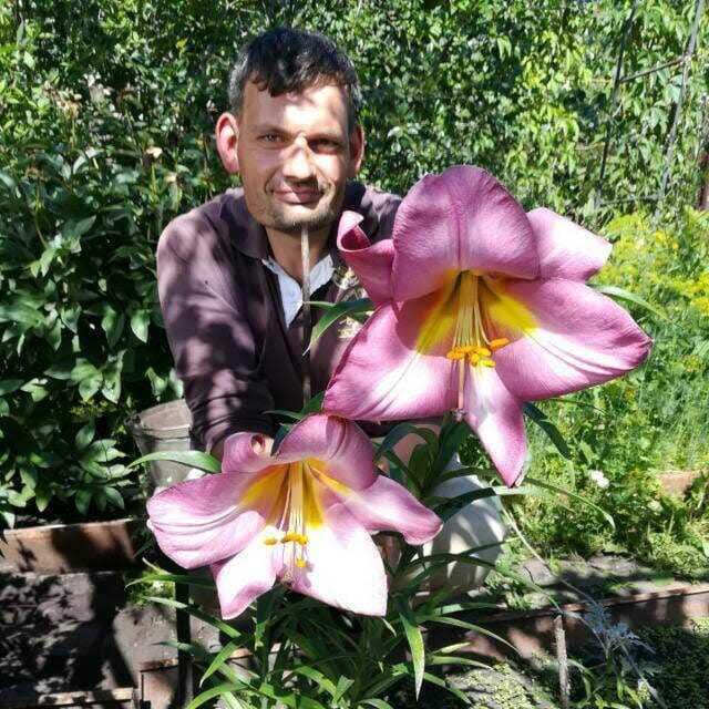 ���������� ���������� �����, ���� ������� �����, 45 ���, ������������ ��� ������, ����� � ���������