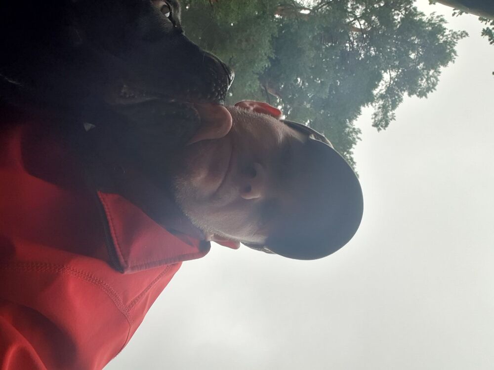  29416386  , 38 ,    